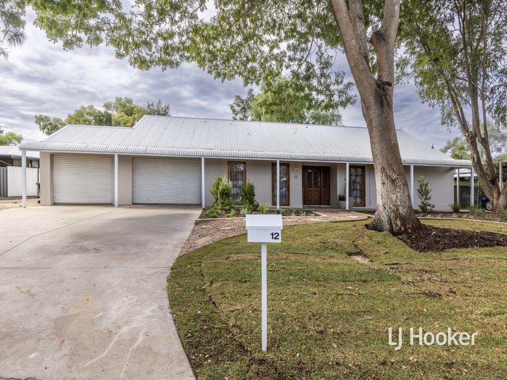 12 De Havilland Dr, Araluen, NT 0870