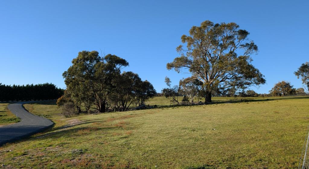 204 Goolabri Dr, Sutton, NSW 2620