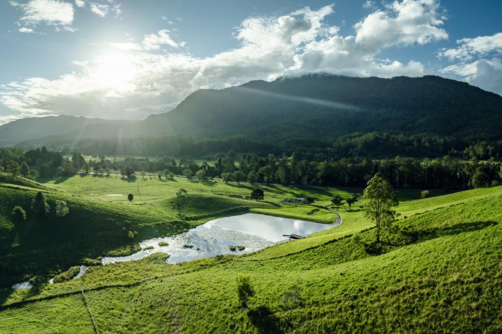 2165 Waterfall Way, Thora, NSW 2454