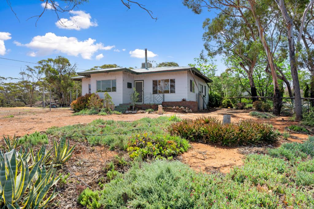 14 Nickeltown Cres, Kambalda East, WA 6442