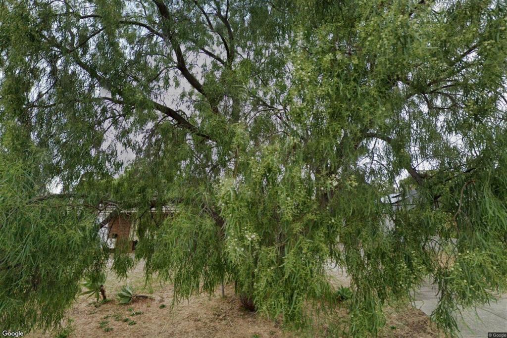 12 Silver Mallee Cl, Camillo, WA 6111