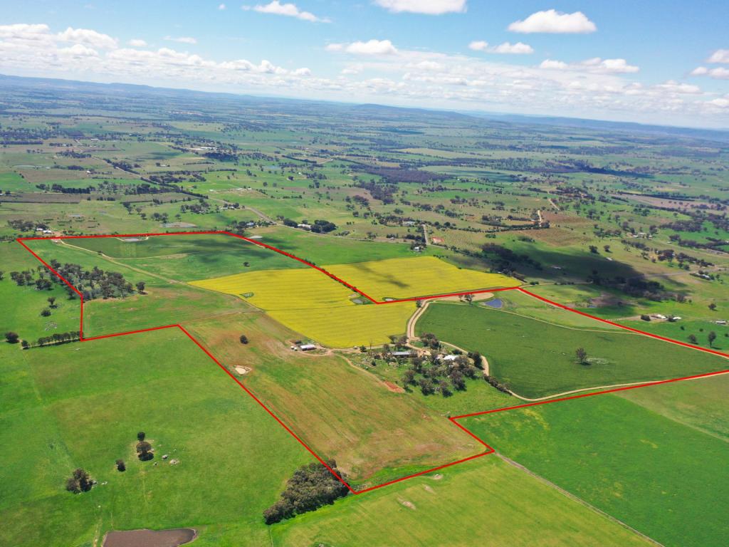 433 MAIMURU SS ROAD VIA, YOUNG, NSW 2594