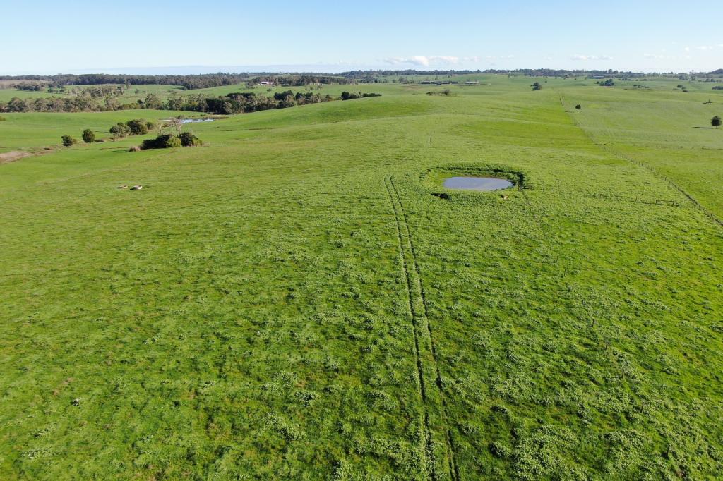 900 Mount Lyall Rd, Nyora, VIC 3987