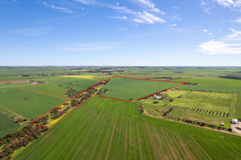 40 BURRAWING CREEK RD, LIPSON, SA 5607