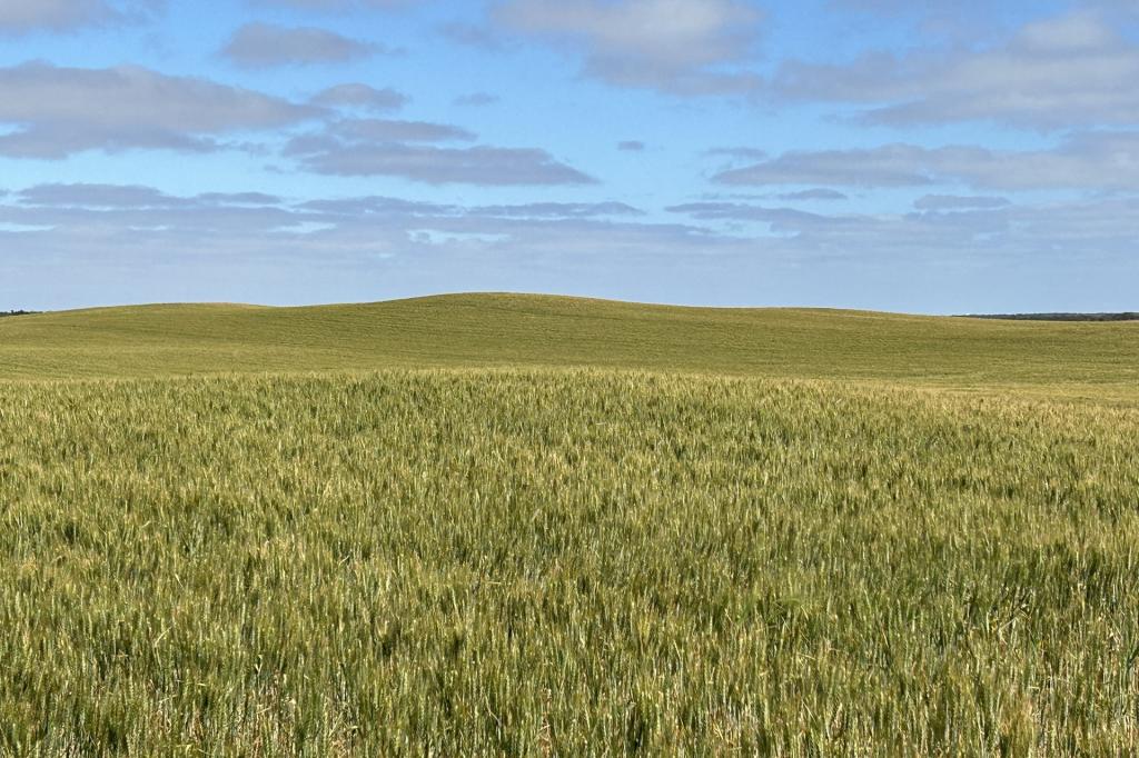 163 Mcaskill Rd, Karkoo, SA 5632