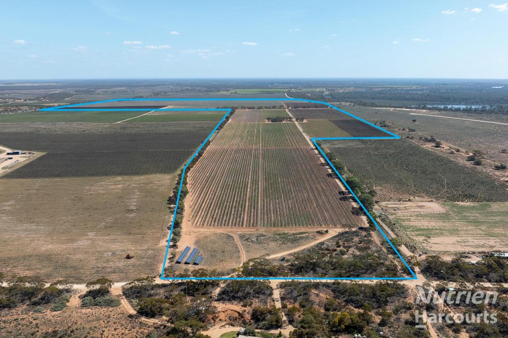 126 Riverboat Rd, Cadell, SA 5321