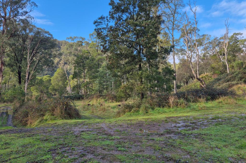 Lot 3 Coopers Creek Rd, Coopers Creek, VIC 3825