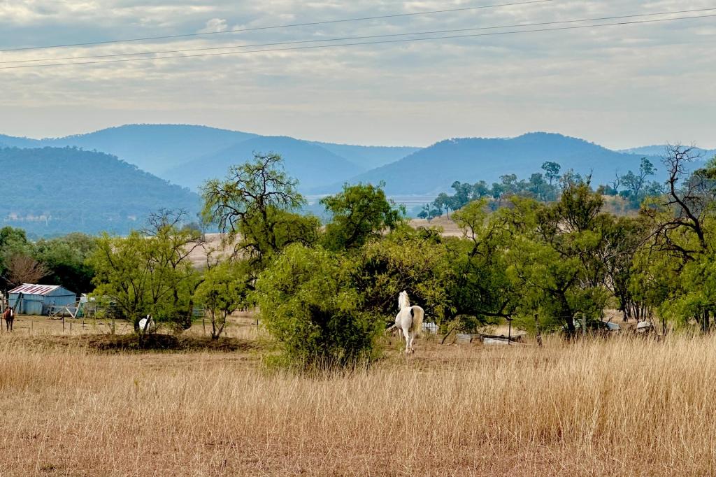 869 Saddletop Rd, Upper Pilton, QLD 4361