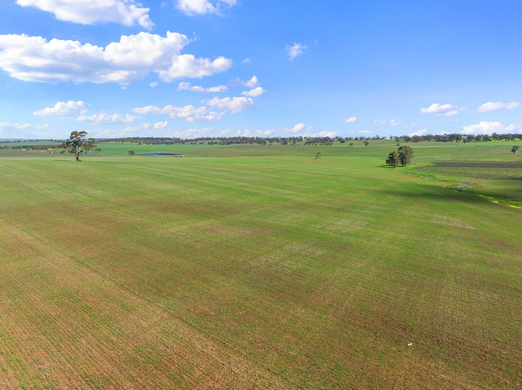 Lot 101 Schobers Rd, Auburn, SA 5451