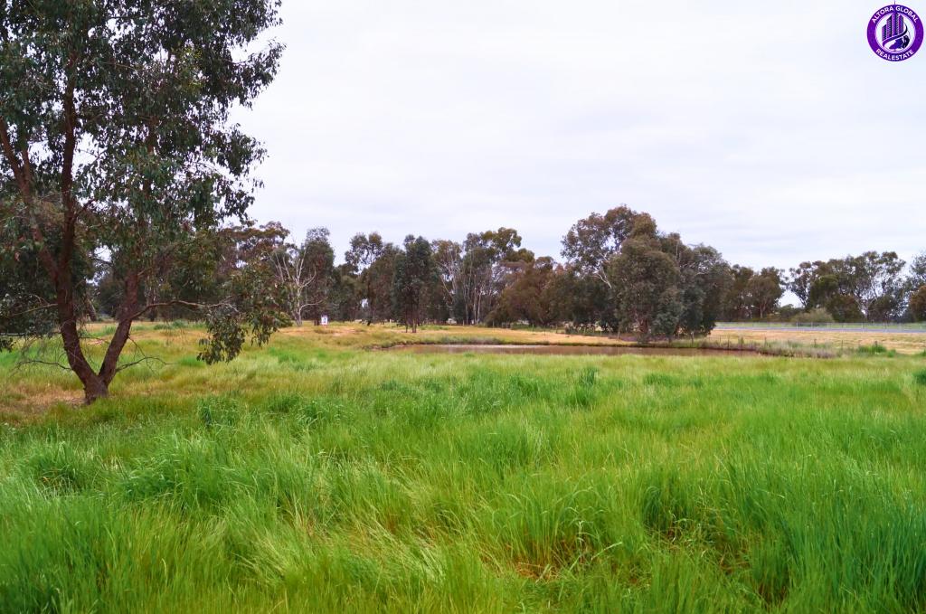 49 High St, Violet Town, VIC 3669