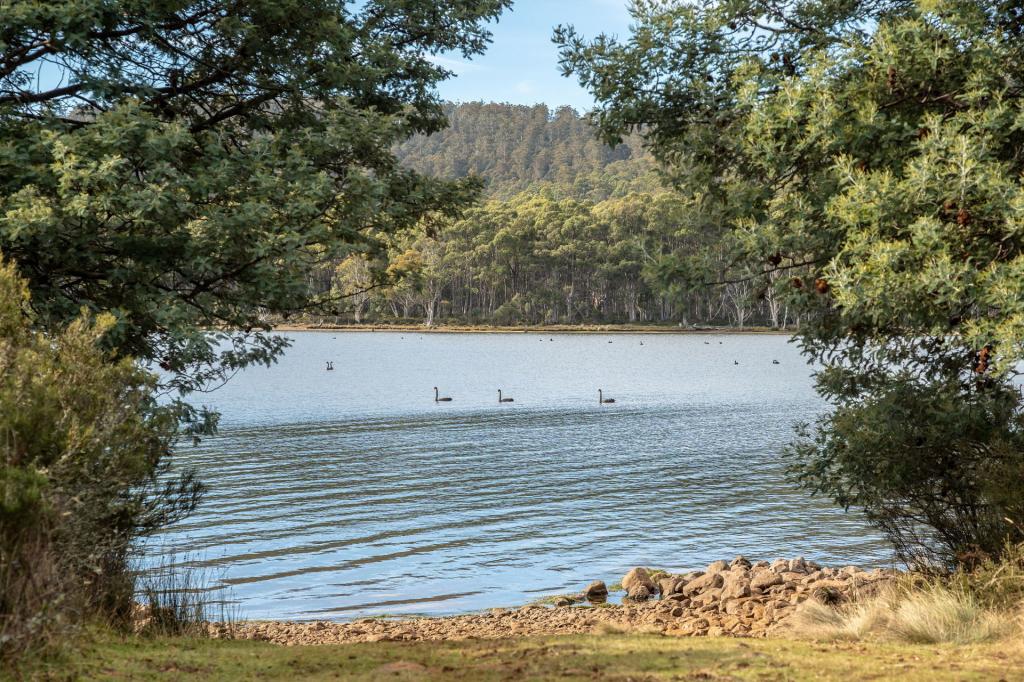 172 Woodwards Bay Rd, Bradys Lake, TAS 7140