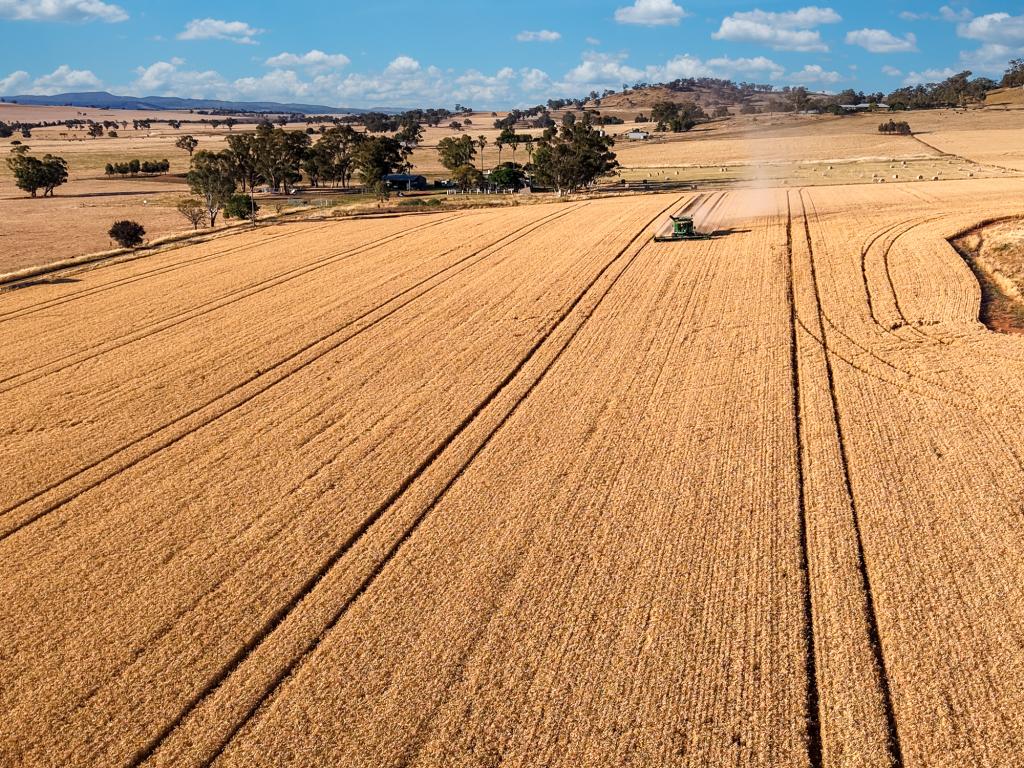 530 Billimari Rd, Cowra, NSW 2794