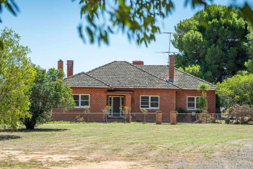 1127 Grubben Rd, Henty, NSW 2658