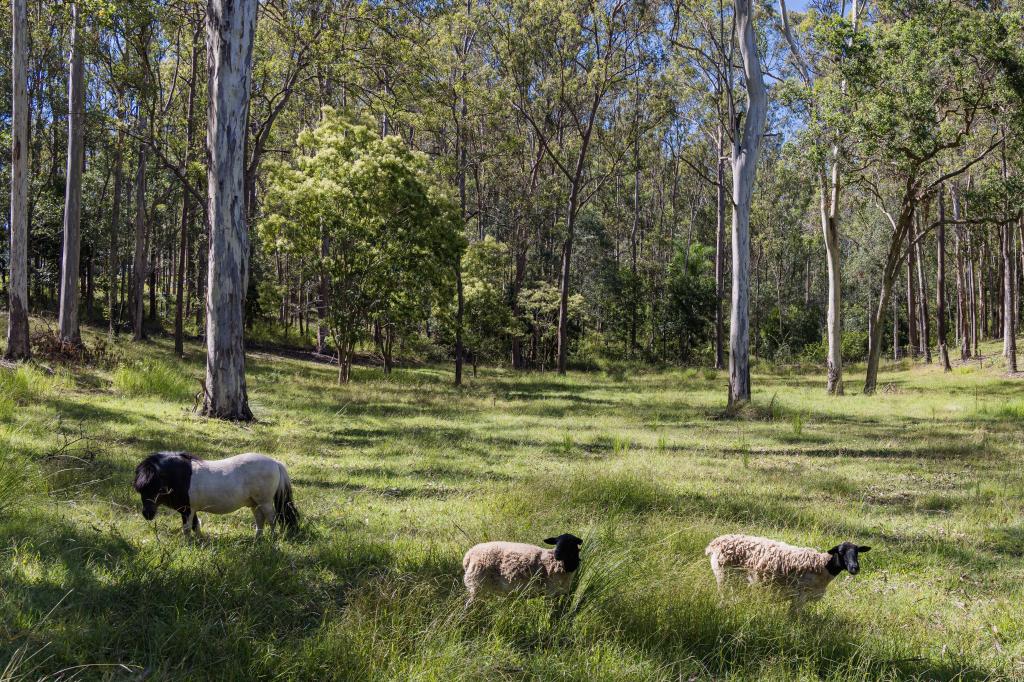 345 MOORINA RD, MOORINA, QLD 4506