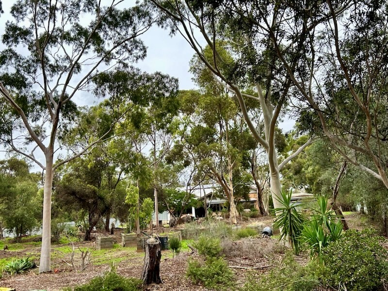 436 Main North Rd, Evanston Park, SA 5116