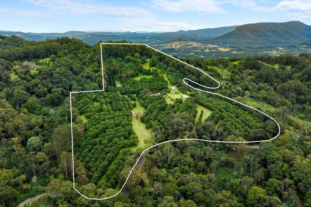 1005 Tuntable Creek Rd, Nimbin, NSW 2480