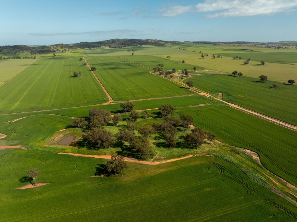 267 Gap Hall-Coolamon Rd, The Gap, NSW 2650
