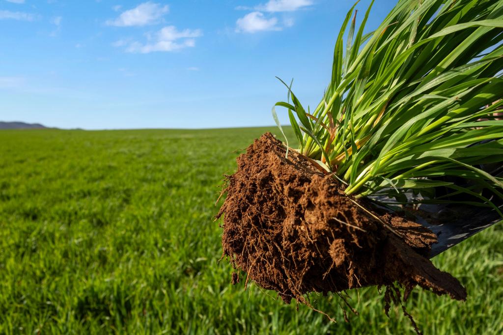 Sanders Aggregation Nicholls Rd, Booleroo Centre, SA 5482