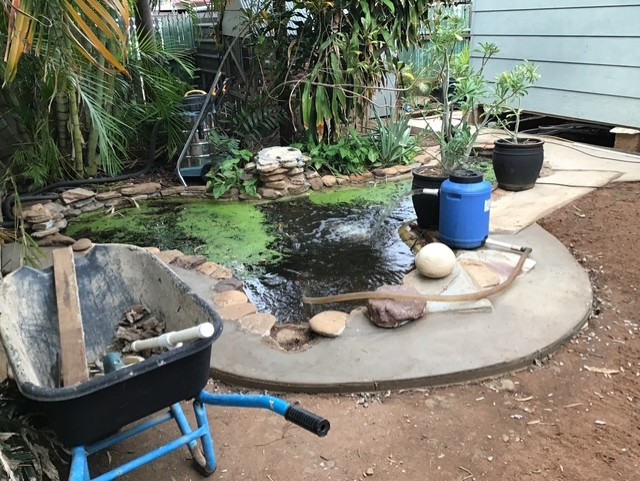 53 Hilary St, The Gap, QLD 4825