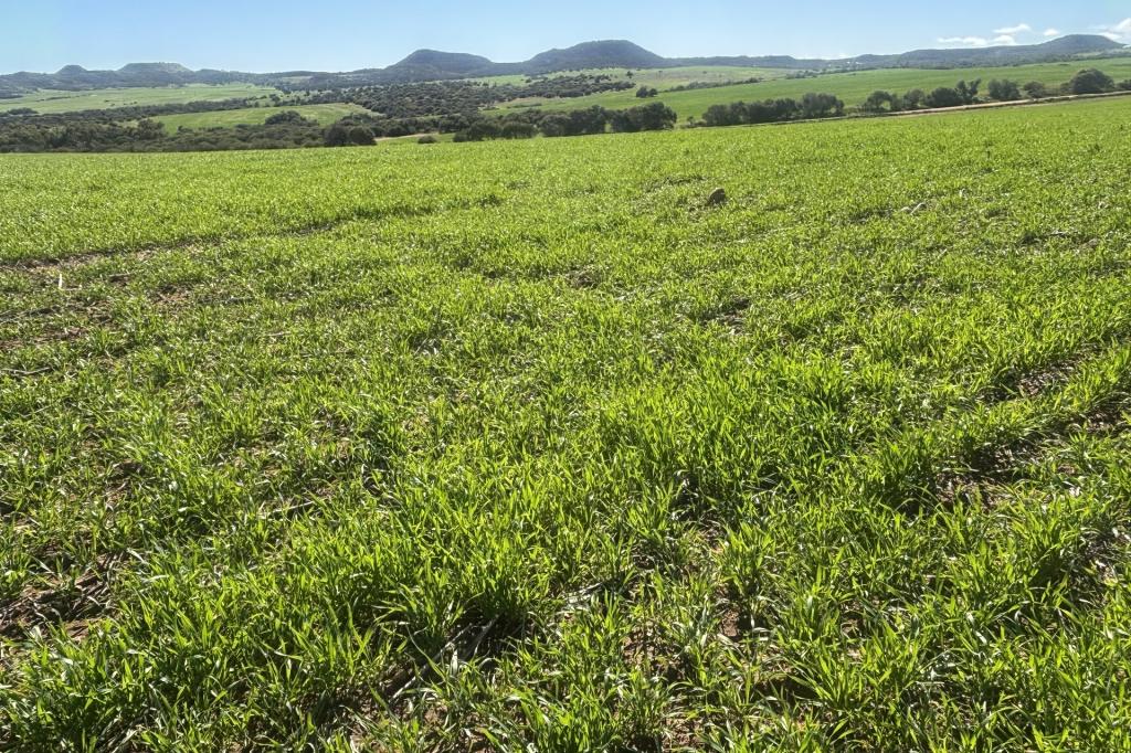 Lot 52 Starling Rd, Bowes, WA 6535