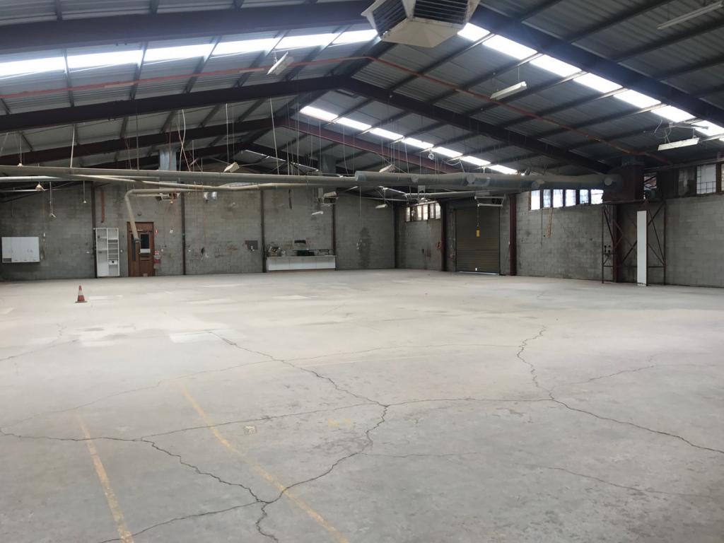 2 Virginia Rd, Newton, SA 5074