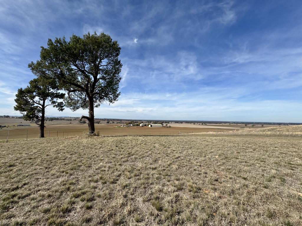 4 Scenic Dr, Forbes, NSW 2871