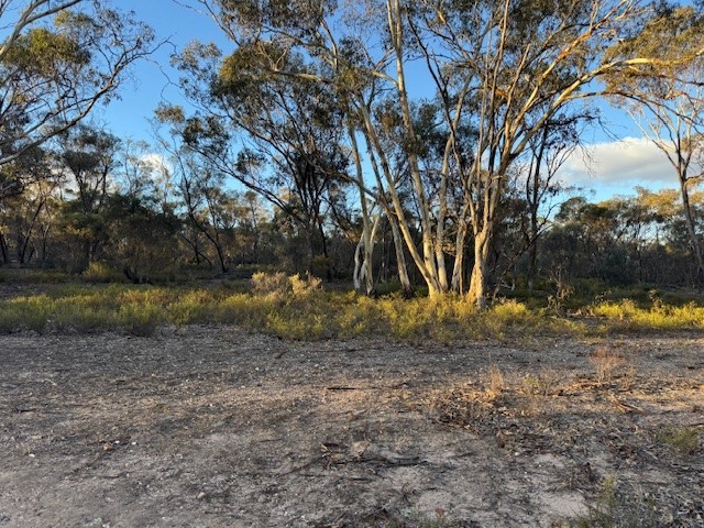 24 Calder Hwy, Wedderburn, VIC 3518