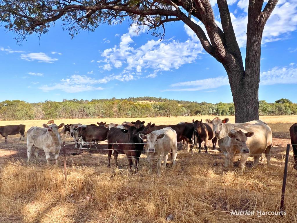 Contact Agent For Address, Copley, WA 6562