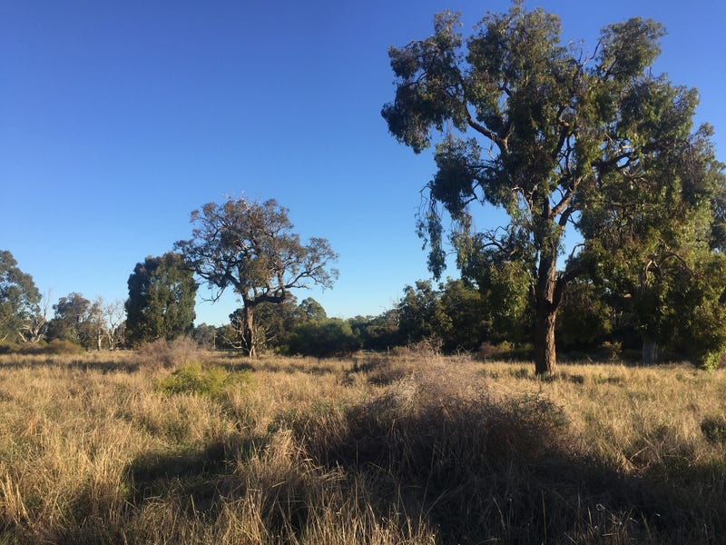 Lot 851 Grasshill Rd, Karnup, WA 6176