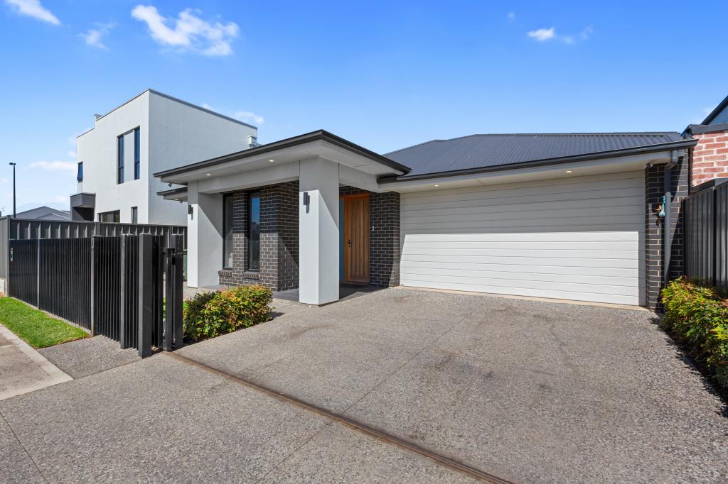 55 Hendrie St, Morphettville, SA 5043