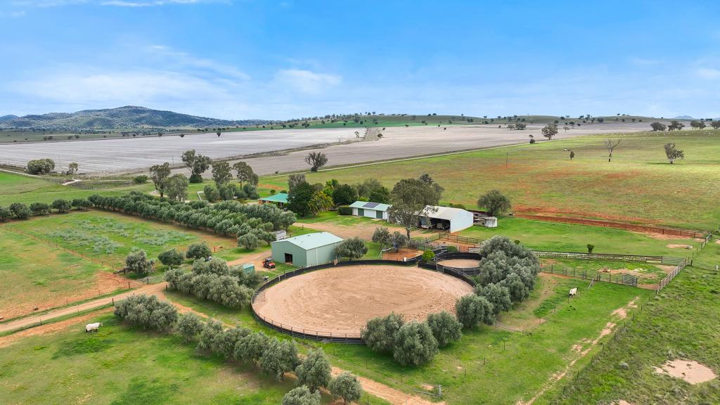 259 Racecourse Rd, Somerton, NSW 2340