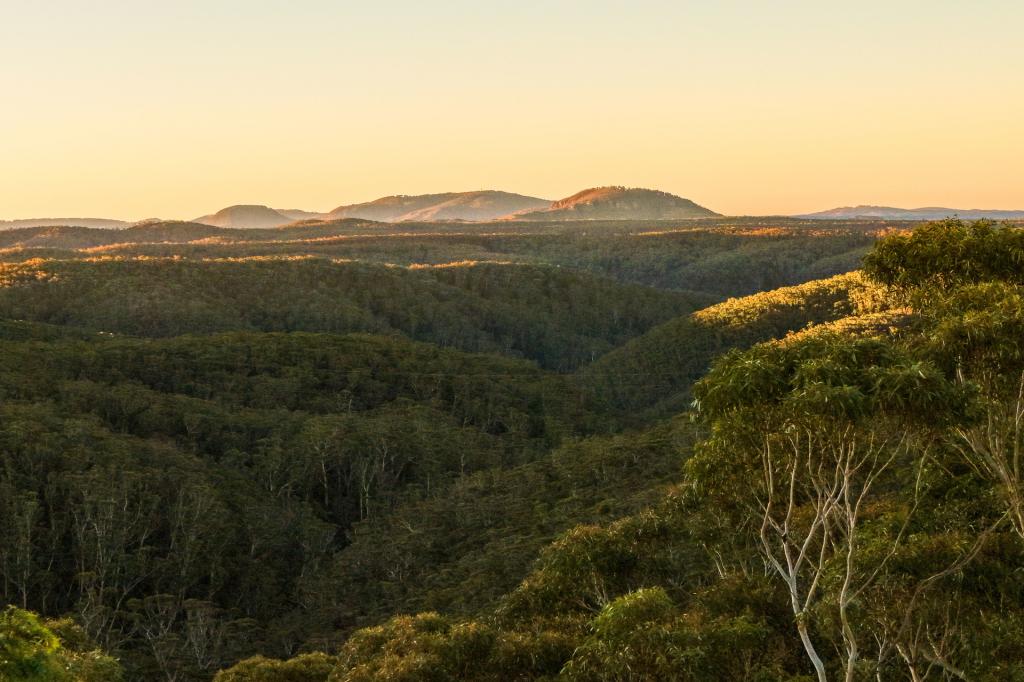 66-68 Henderson Rd, Wentworth Falls, NSW 2782