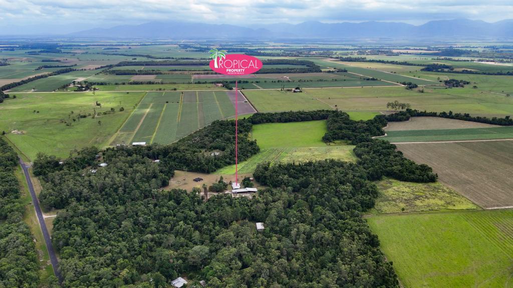 629 TULLY GORGE RD, JARRA CREEK, QLD 4854