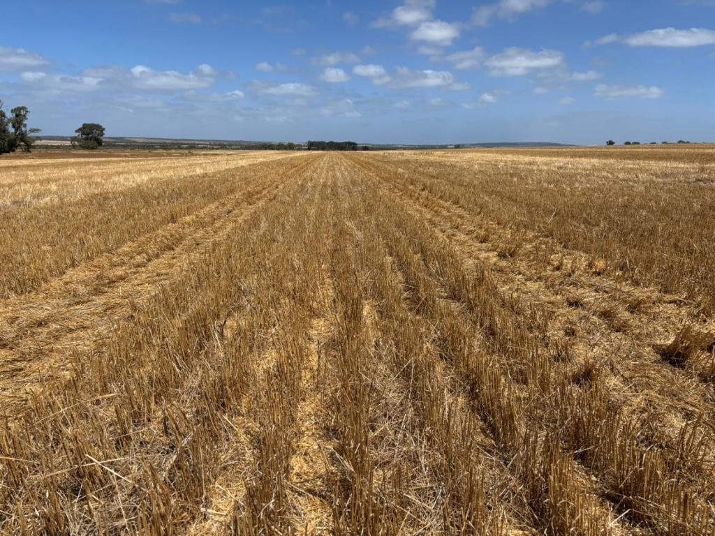 205 Settlers Rd, Wangary, SA 5607