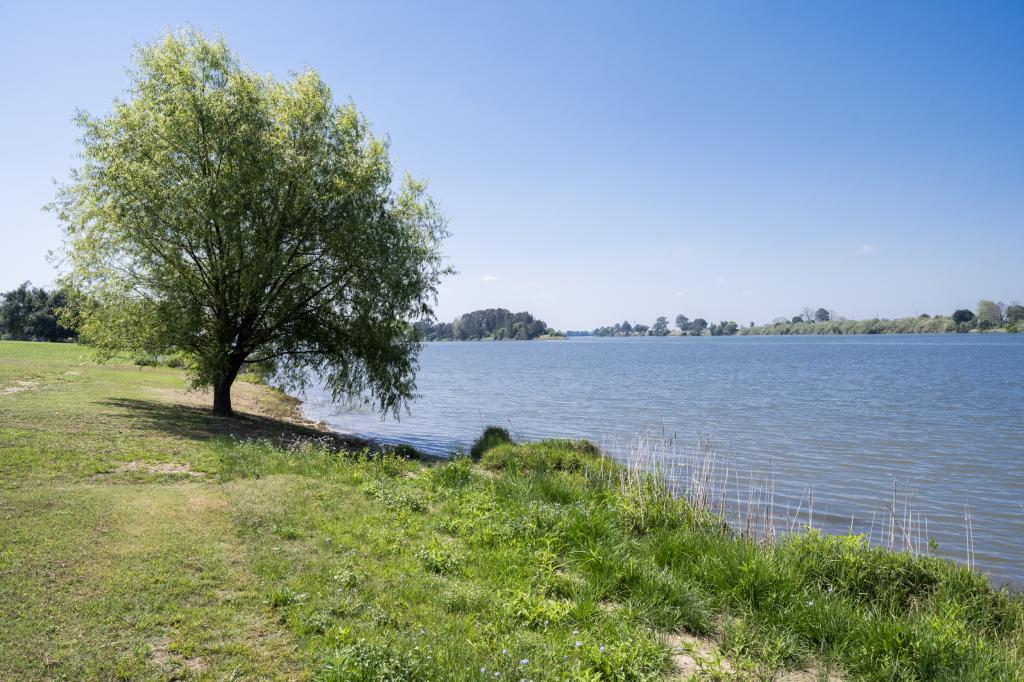 6 MARK CL, GRAFTON, NSW 2460