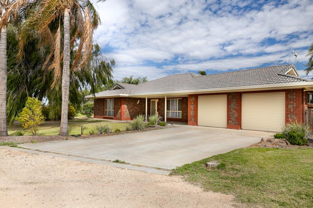 229 Morgan Rd, Cobdogla, SA 5346