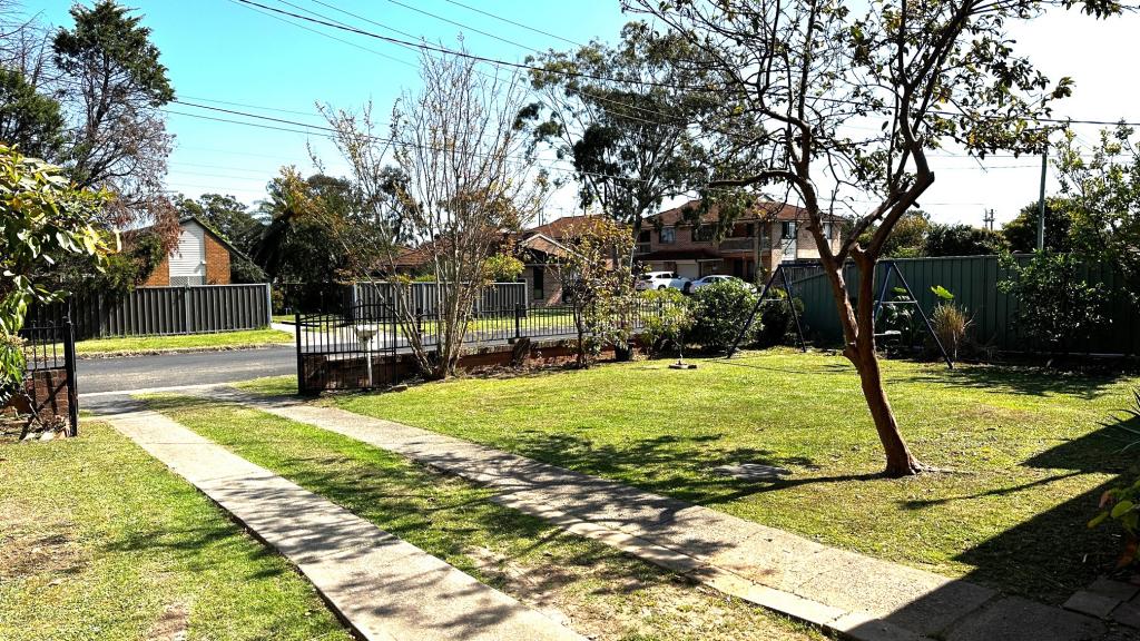 8 Erica Pl, Minto, NSW 2566