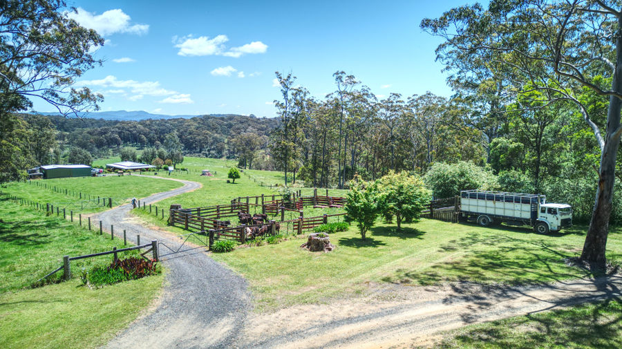 Contact Agent For Address, Dorrigo, NSW 2453