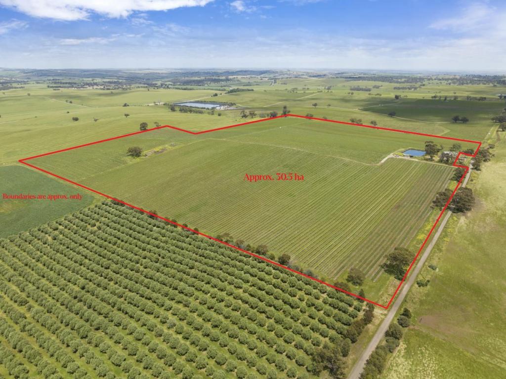 Lot 54 Tank Rd, Auburn, SA 5451