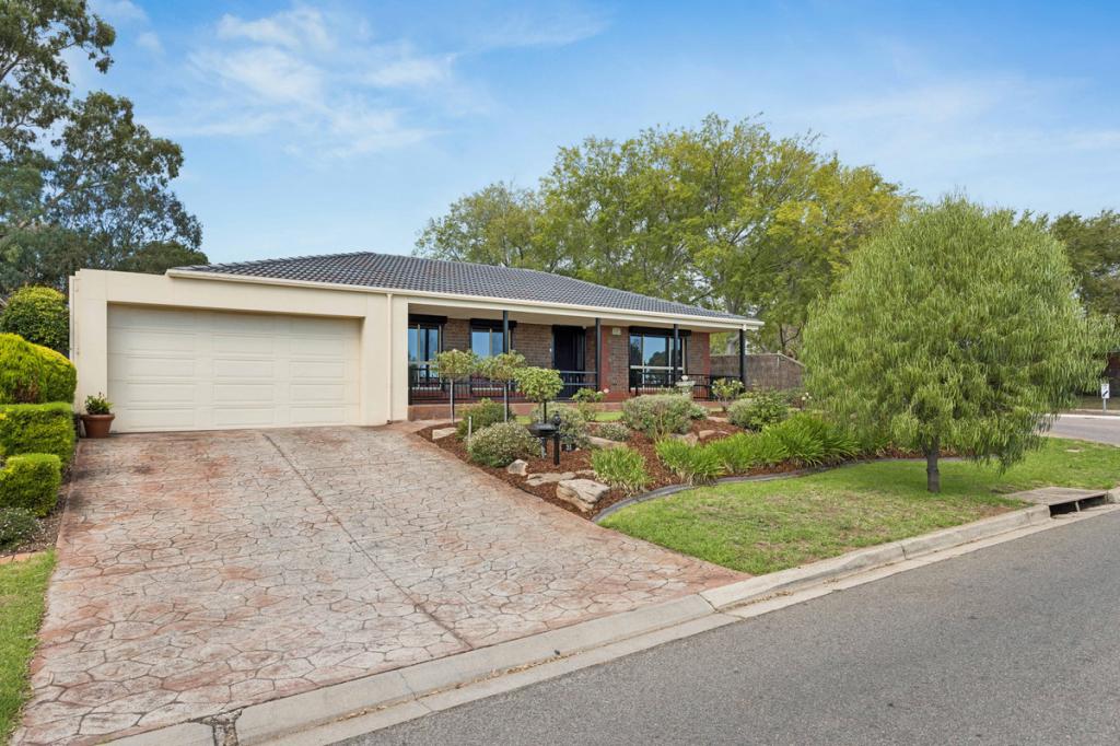 31 Hillcott Ave, Wynn Vale, SA 5127