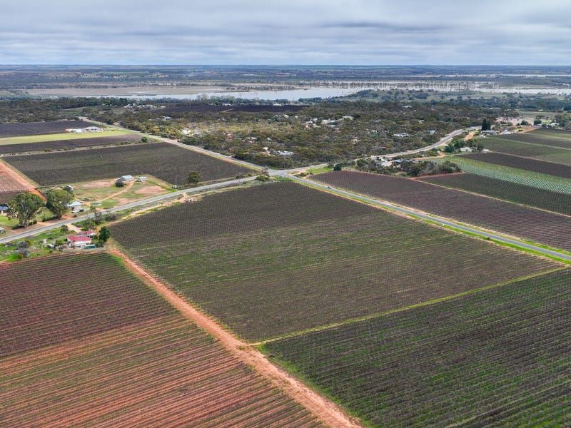 234 Thiele Rd, Loveday, SA 5345