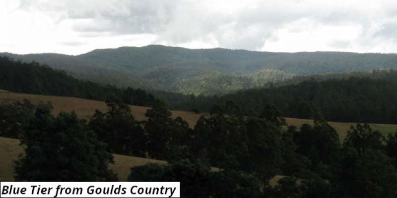 755 Lottah Rd, Lottah, TAS 7216