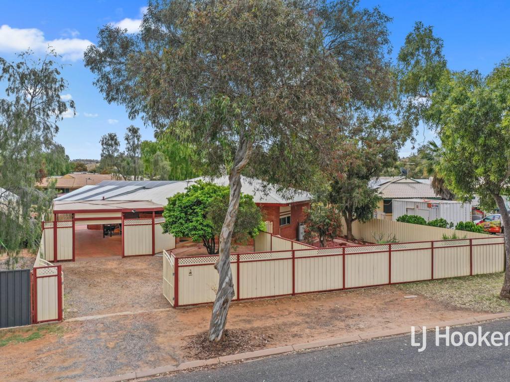 3 Holtermann Ct, Larapinta, NT 0875