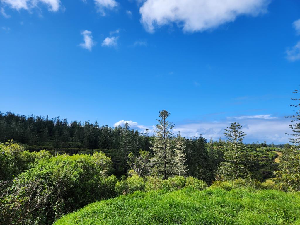 136N SELWYN PINE ROAD, NORFOLK ISLAND, NSW 2899