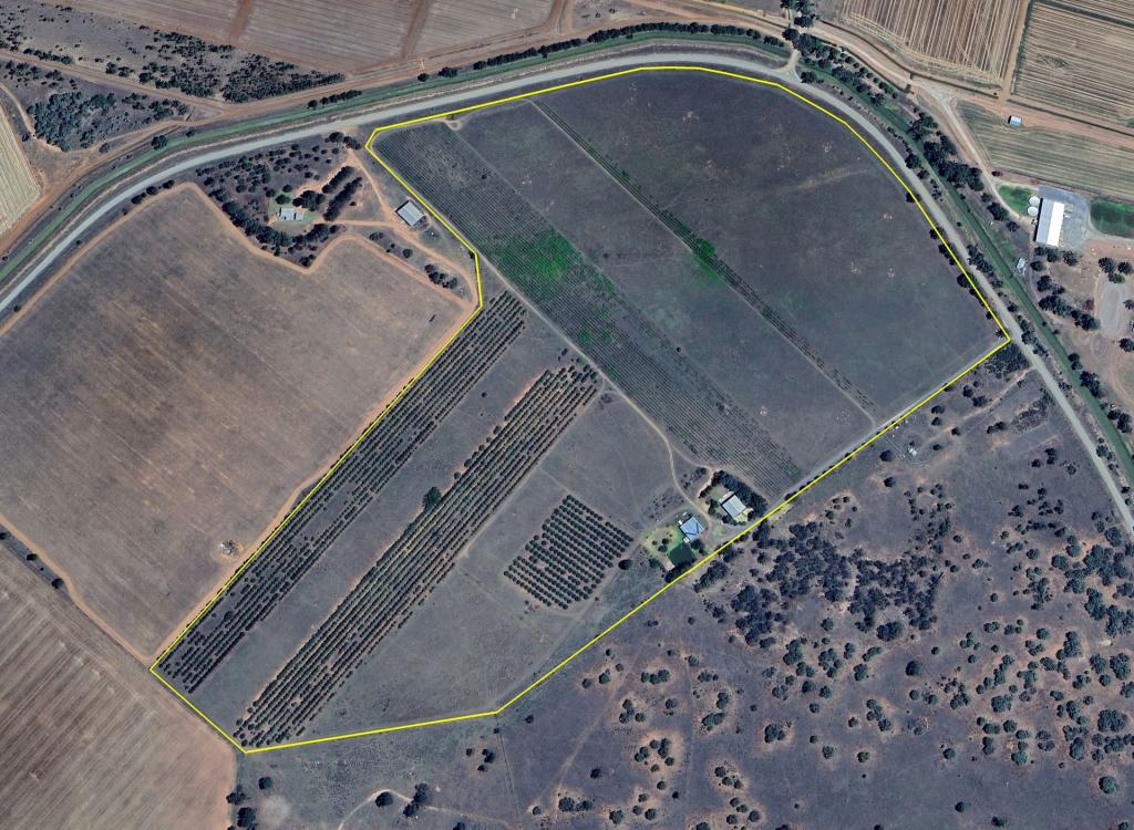 71 Kyola Rd, Coleambally, NSW 2707