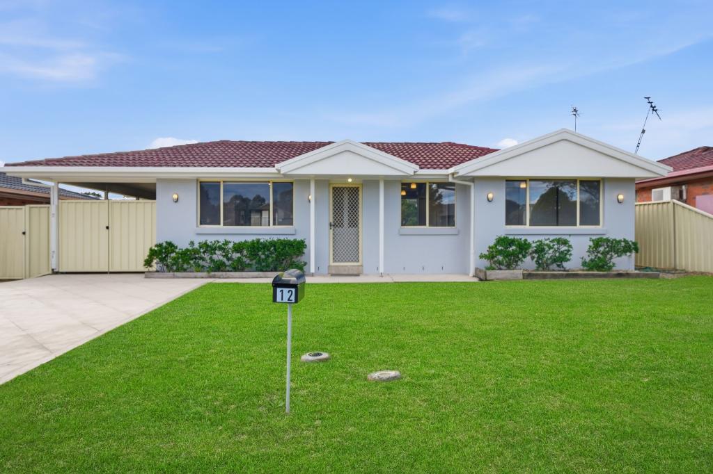12 Doolan St, Dean Park, NSW 2761