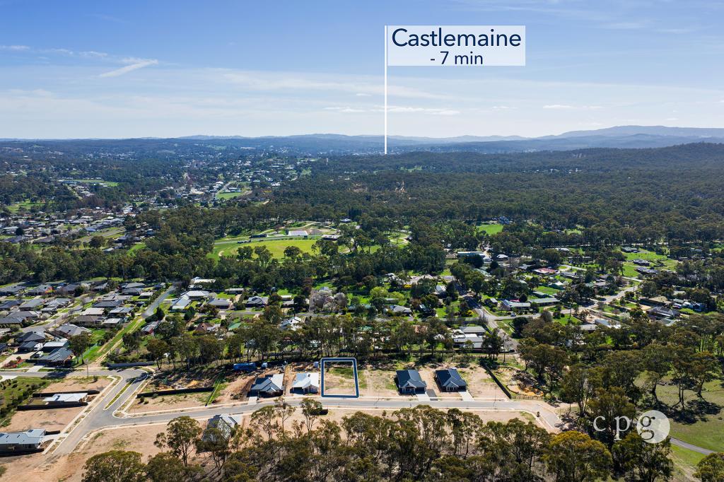 11 Protea Bvd, Campbells Creek, VIC 3451