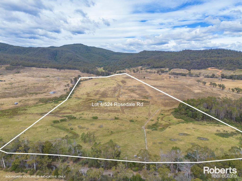 524 Rosedale Rd, Bicheno, TAS 7215