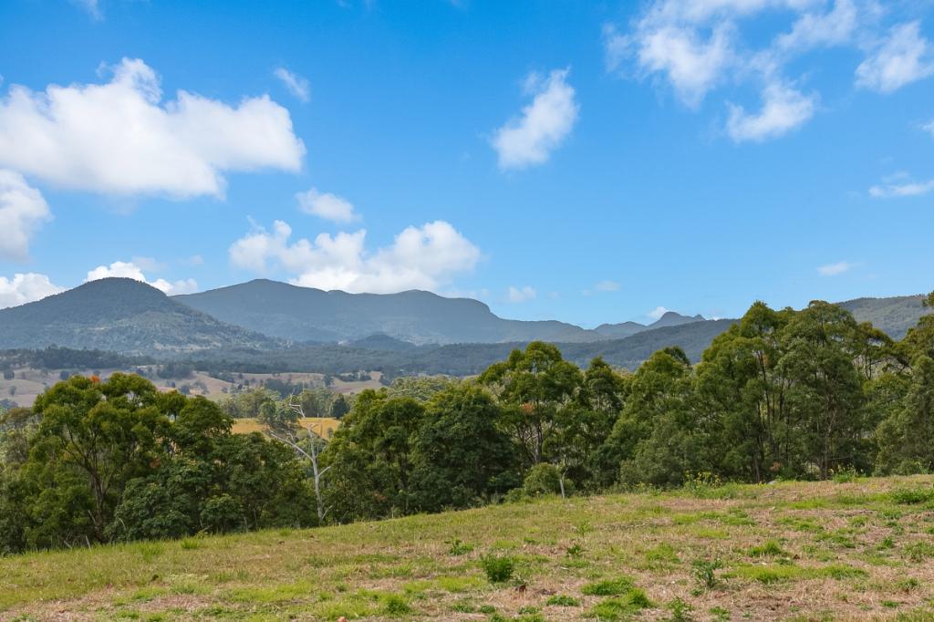 77 Tyalgum Ridge Rd, Tyalgum, NSW 2484