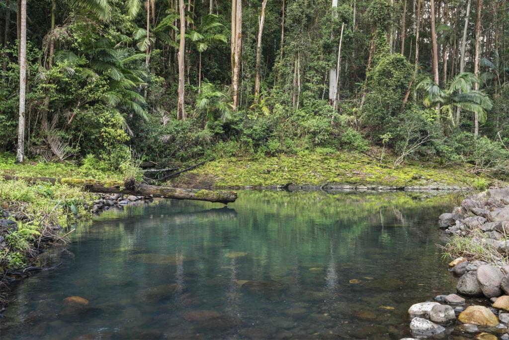 454 Hopkins Creek Rd, Hopkins Creek, NSW 2484